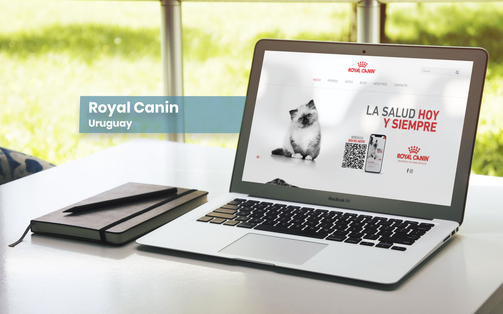 Royal Canin - Uruguay - Diseño de Tienda Online WordPress