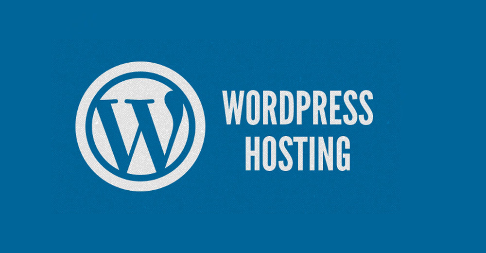 aprende a como elegir hosting web para empresas con cualquier necesidad digital